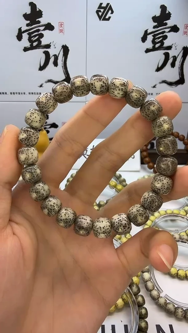 手串星月菩提10/9 冰糖 满天星 星点货 同枝果 C23