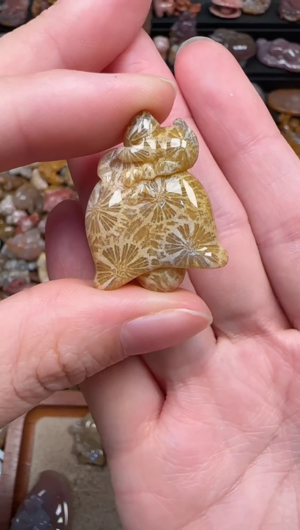 颈饰未镶嵌硅化珊瑚（珊瑚玉）176
