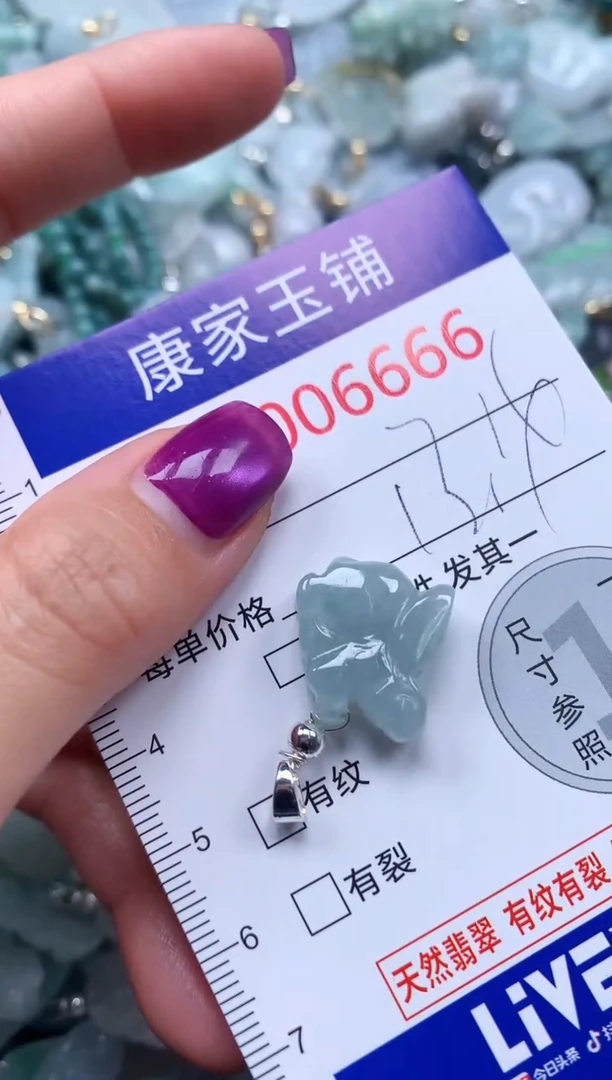 颈饰未镶嵌翡翠6666