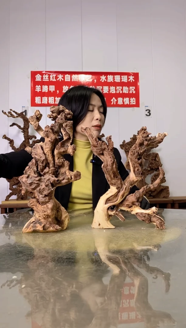 【闪购商品】木30金丝红木 羊蹄甲2