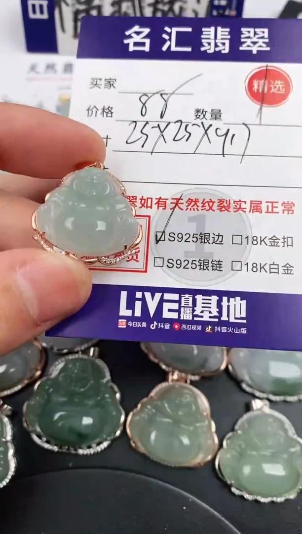翡翠银S925镶嵌颈饰·