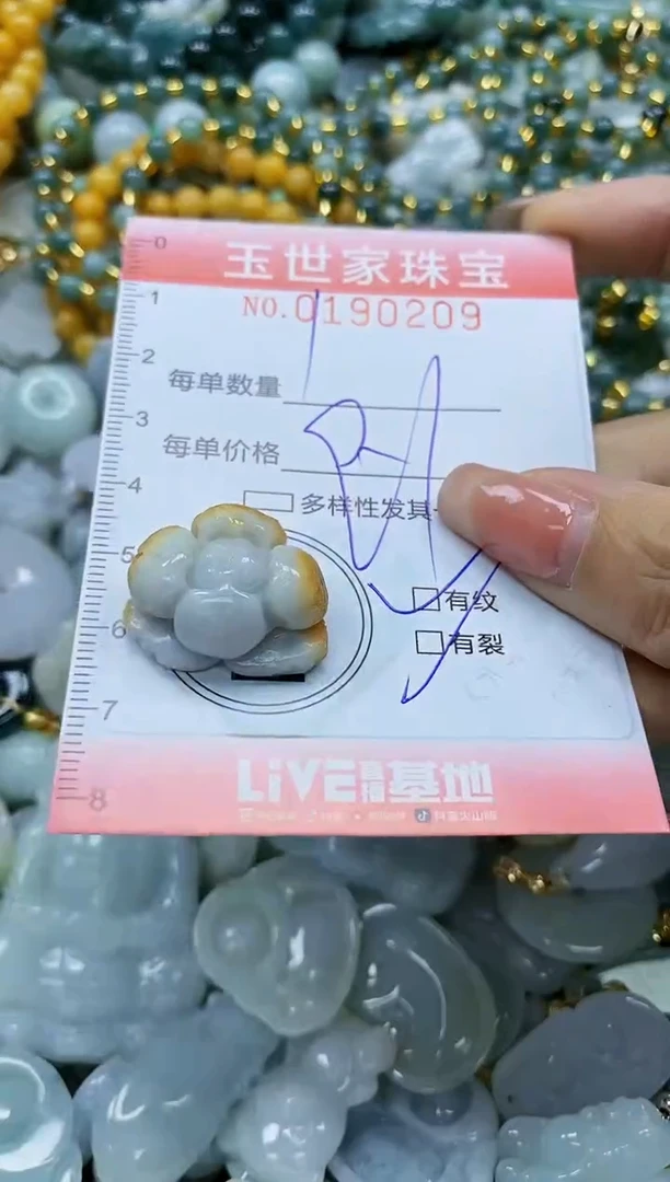 【闪购商品】翡翠颈饰未镶嵌闪购0190209