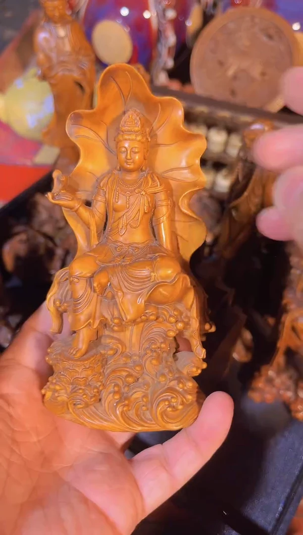 黄杨木1111111111111111111
