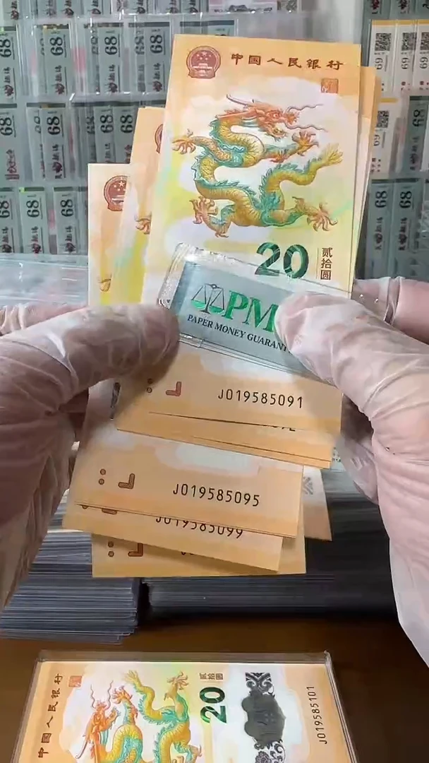 塑料019585091龙钞标十包PMG
