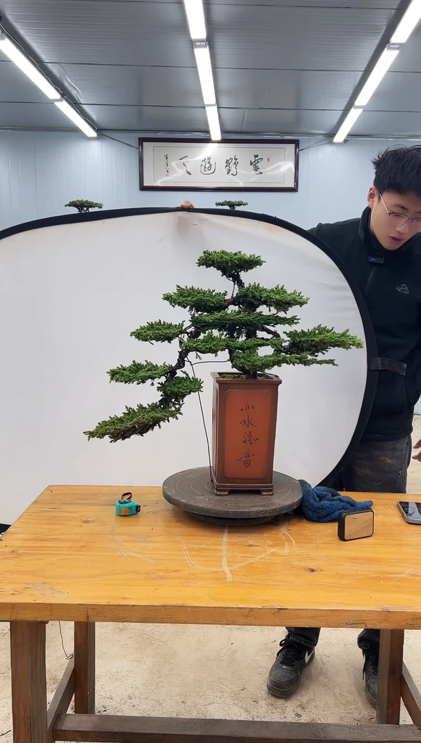 无花朵国*000000000000000000000