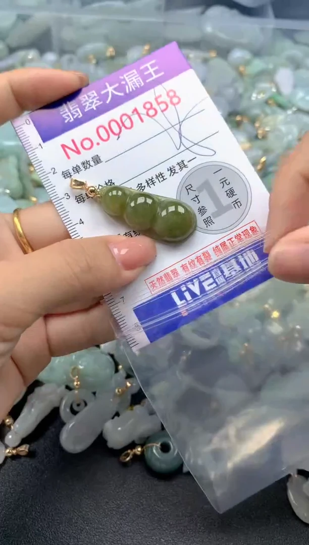 颈饰未镶嵌翡翠1858