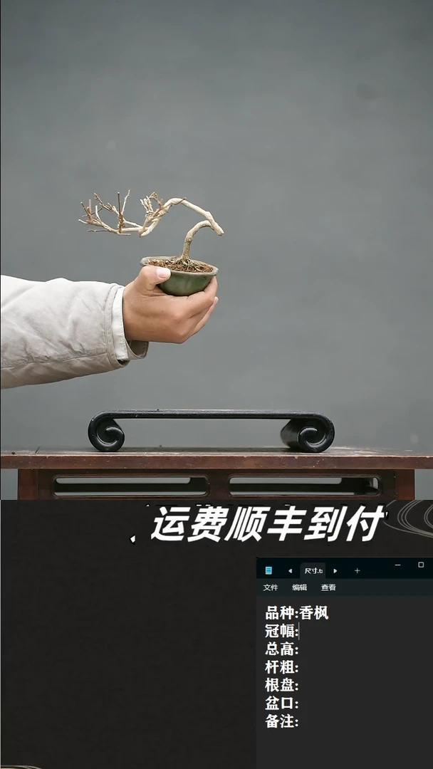 【闪购商品】46 香枫