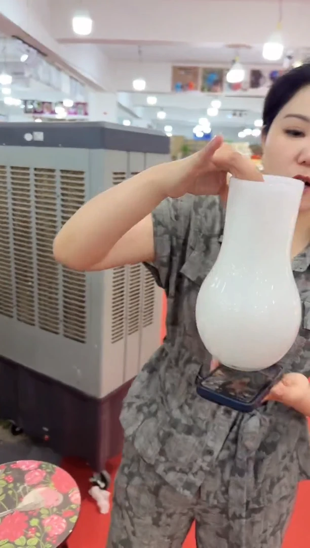 瑞国花瓶花器V-晚16