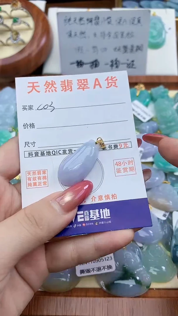 颈饰未镶嵌翡翠天然A货翡翠挂件