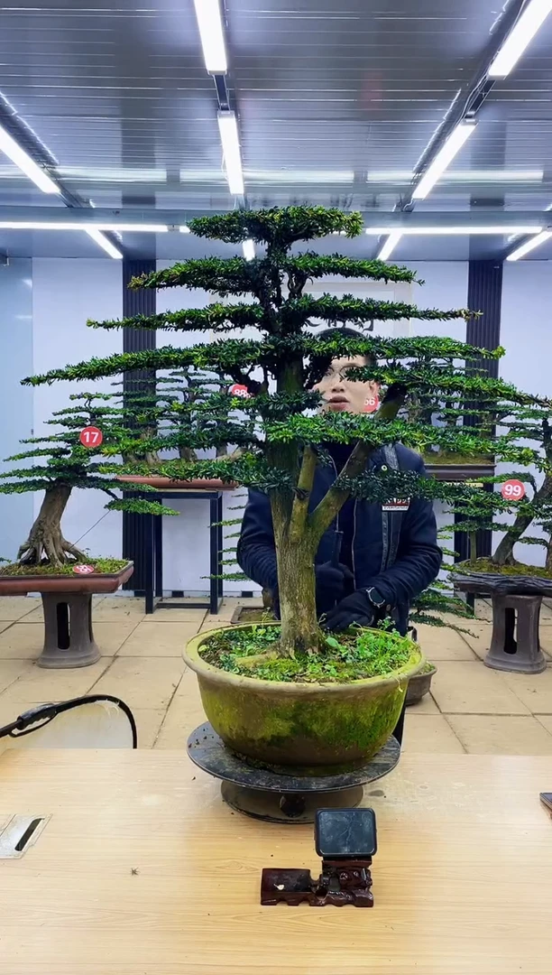 【闪购商品】0000000000