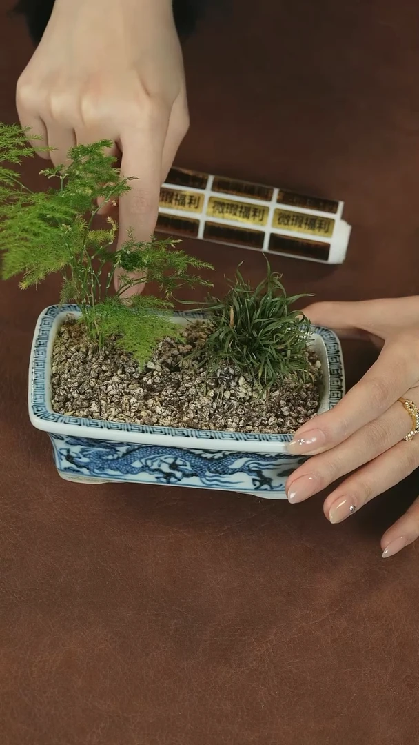 【闪购商品】福利福利福利福利