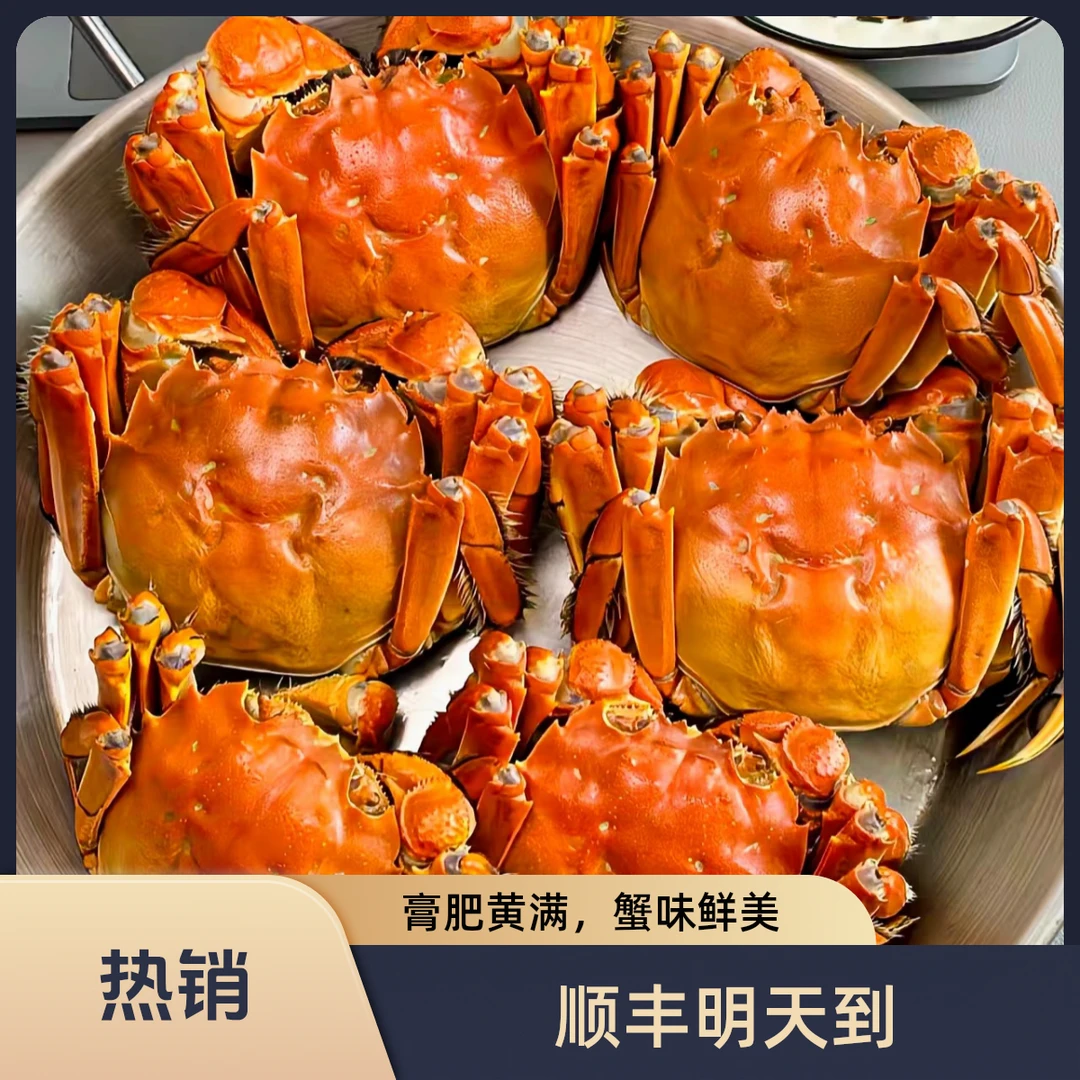 【活蟹】江苏活河蟹母蟹公蟹混搭1.3-1两共16只明天到顺丰海鲜