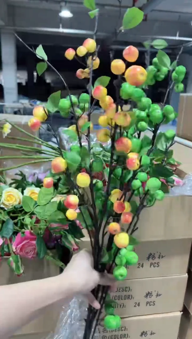 1枝橙色2枝绿色小苹果
