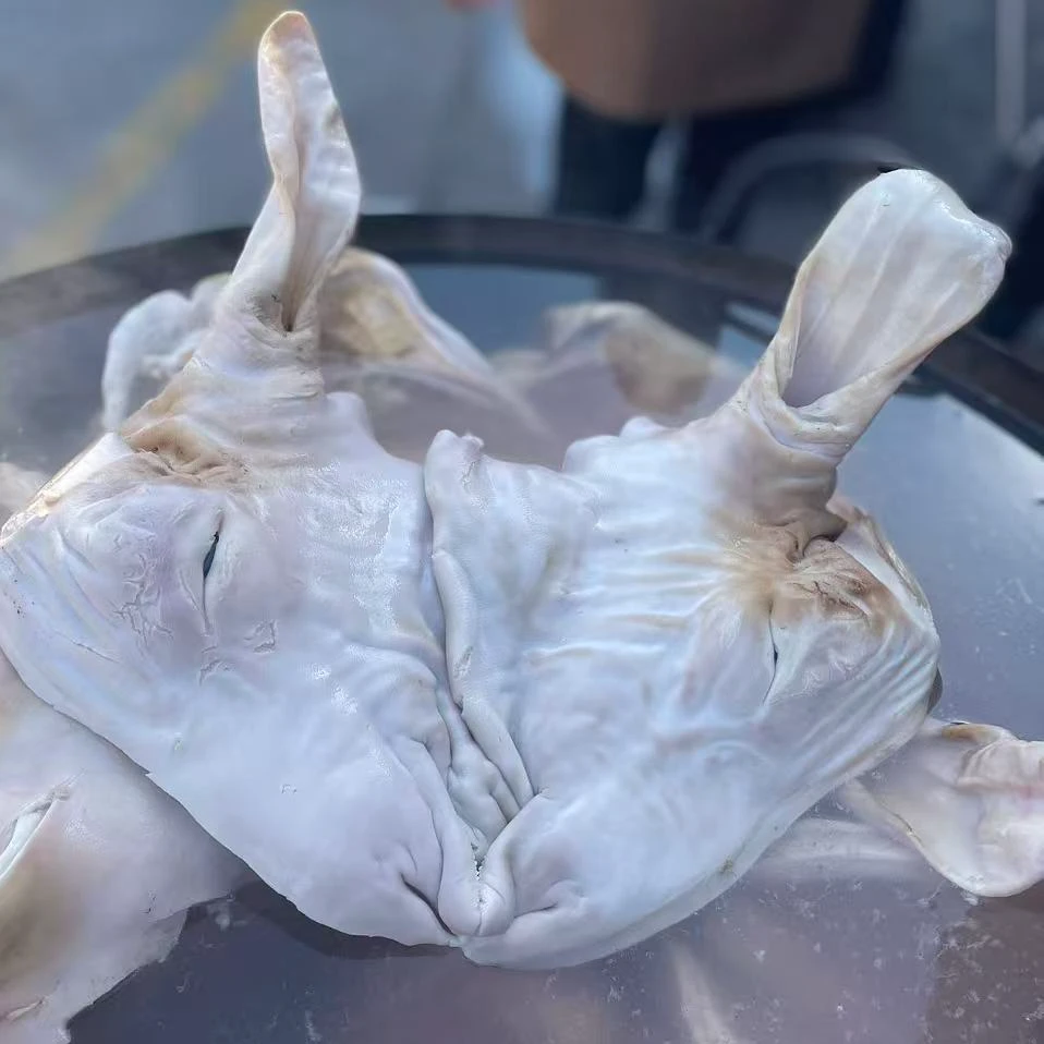 龙龙妈精选 整个羊头 顺丰真空冷链发货