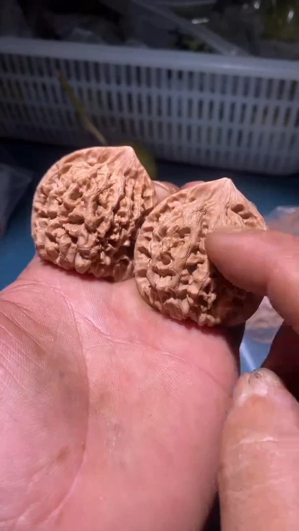 文玩核桃把件麒麟纹官帽全品白茬