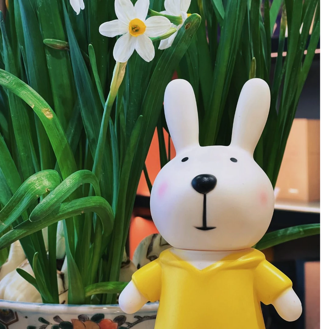 绿雪芽舒允 茶友专属银针、牡丹、寿眉