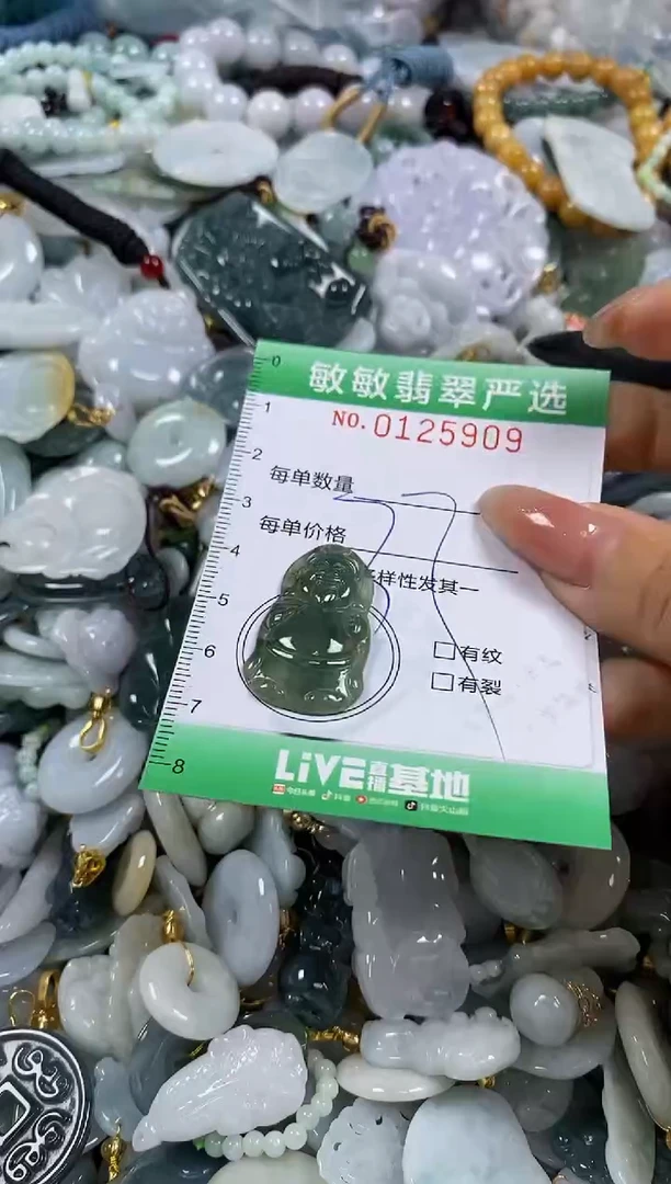 【闪购商品】翡翠颈饰未镶嵌闪购0125909