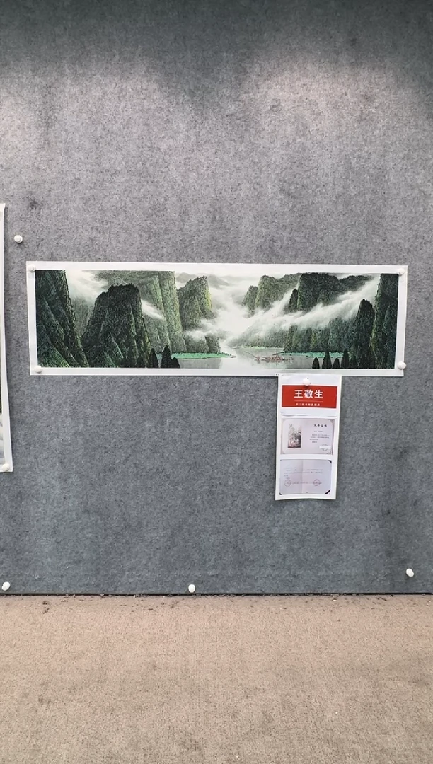 【闪购商品】国画pmw不二轩旗舰店国画WJS1