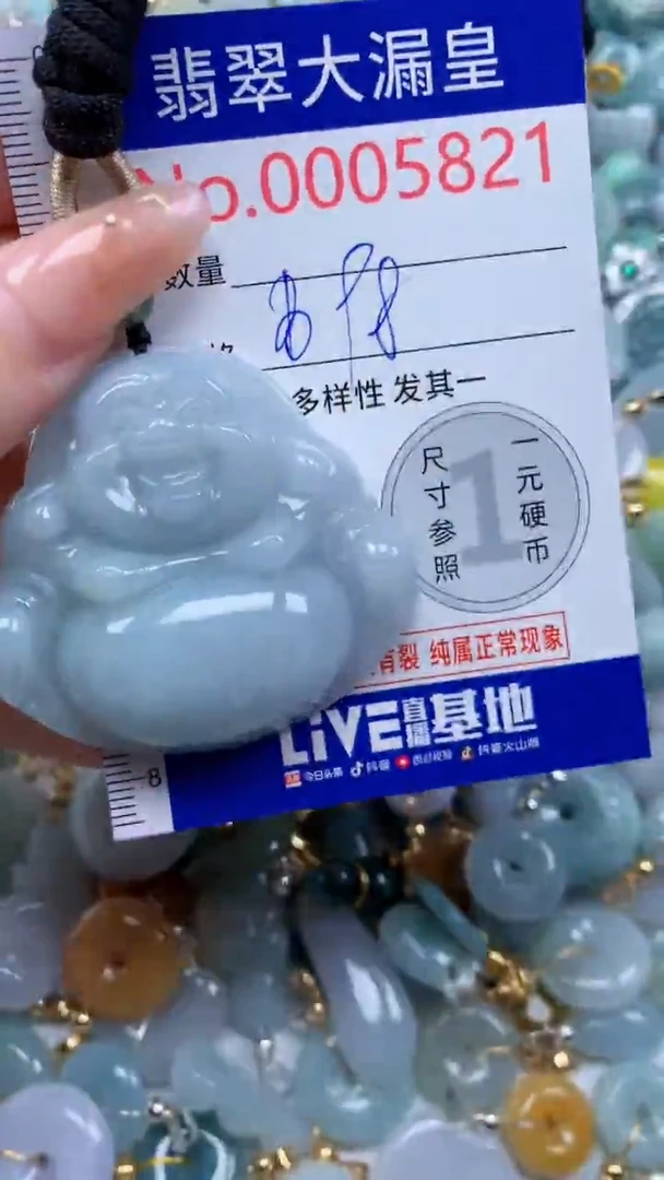 翡翠未镶嵌吊坠(不含链)5821