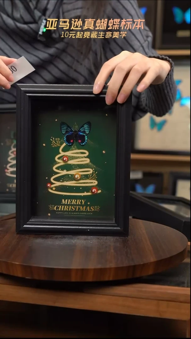 微瑕蝴蝶标本摆件一口价d630