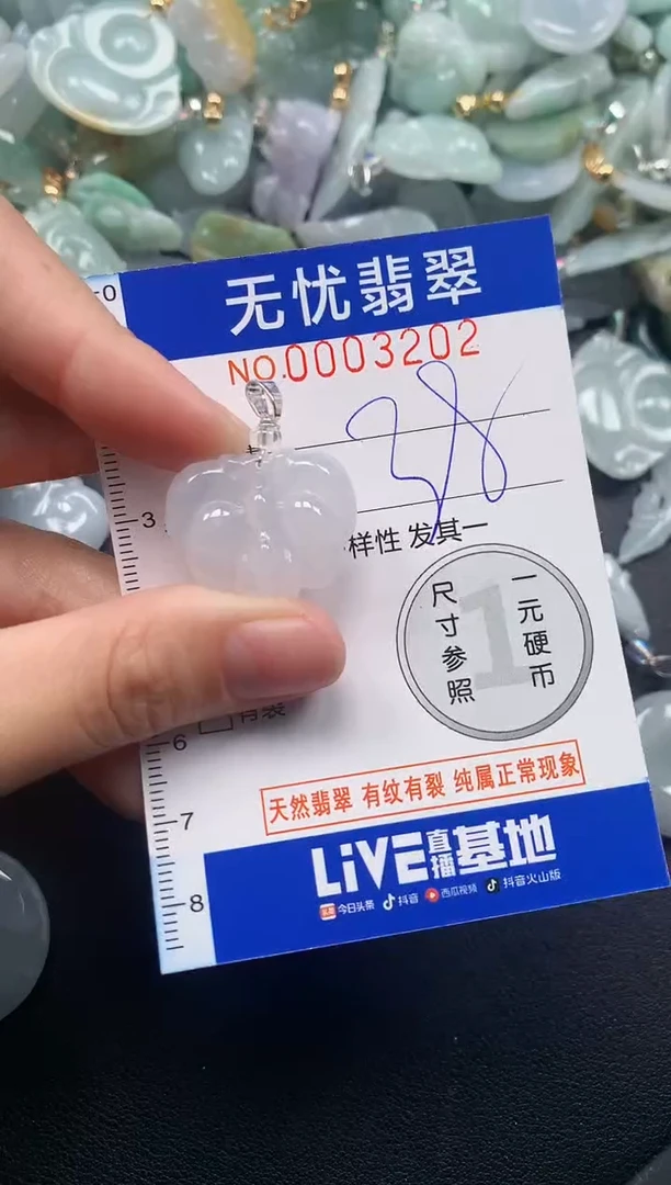 颈饰未镶嵌翡翠3202