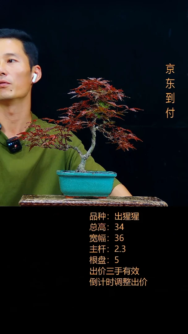 峰**?0000000000000出星星