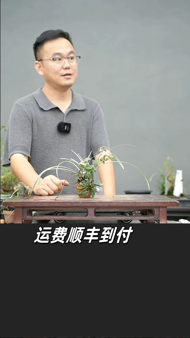 我**良86