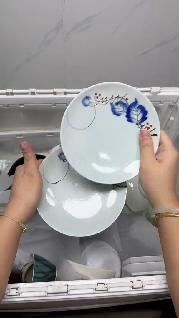 【闪购商品】895回流瓷器默认微瑕，18.8包邮