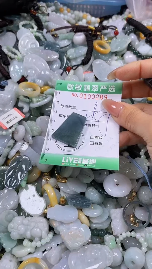 【闪购商品】翡翠颈饰未镶嵌闪购0100289多样性发其一