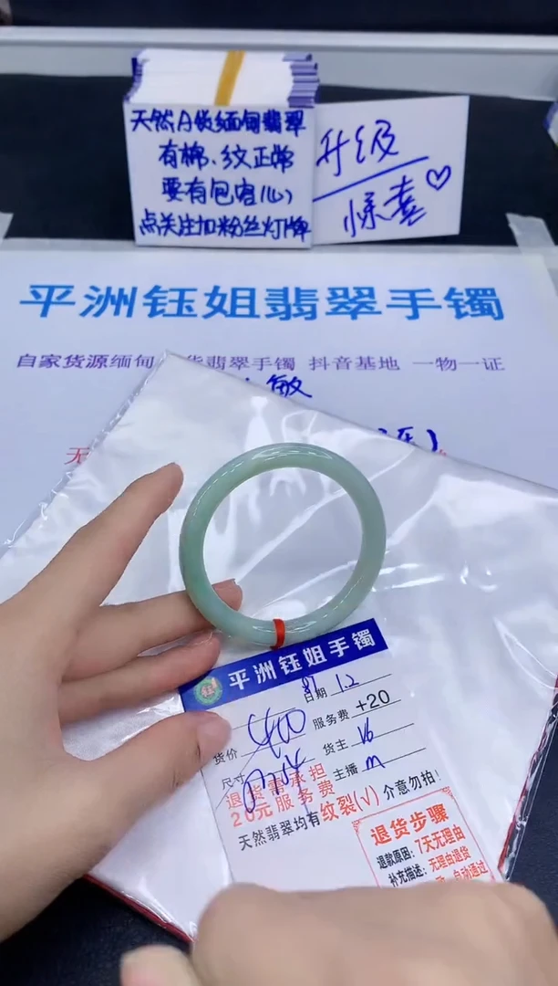 未镶嵌手镯翡翠11111111