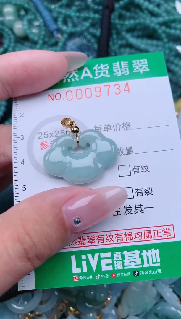 翡翠未镶嵌颈饰.0009734