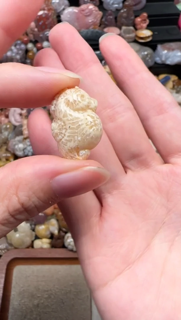 颈饰未镶嵌硅化珊瑚（珊瑚玉）707