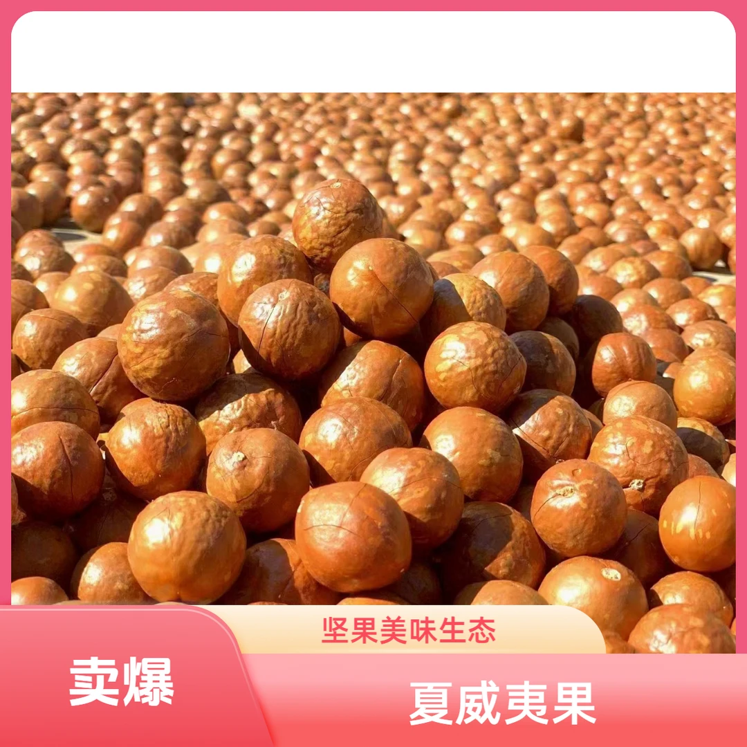 云南红河绿春特产大水沟月牙河夏威夷果坚果原味奶香味酥脆美味