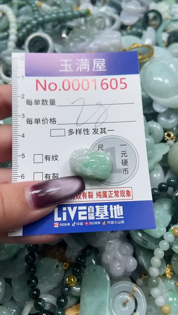 颈饰未镶嵌翡翠1605