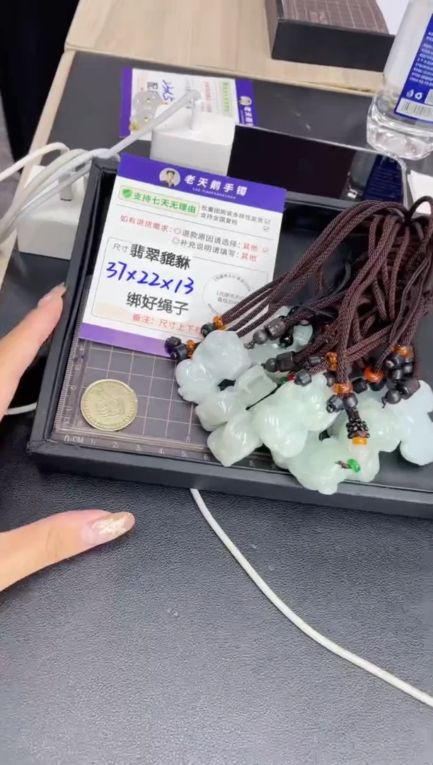 翡翠挂件未镶嵌貔貅FL8配绳/多样性发其一ZBCP