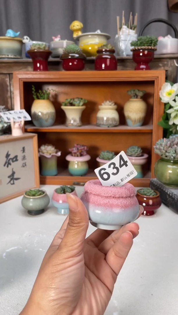 瓷片634小芳直播编号