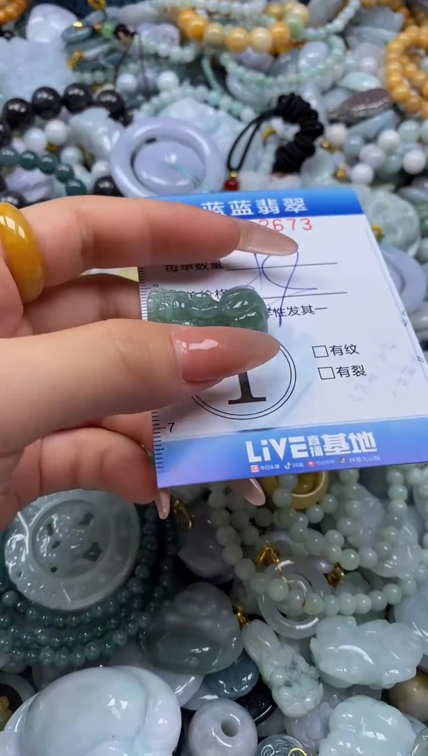 翡翠未镶嵌颈饰闪购0282673多样性发其一