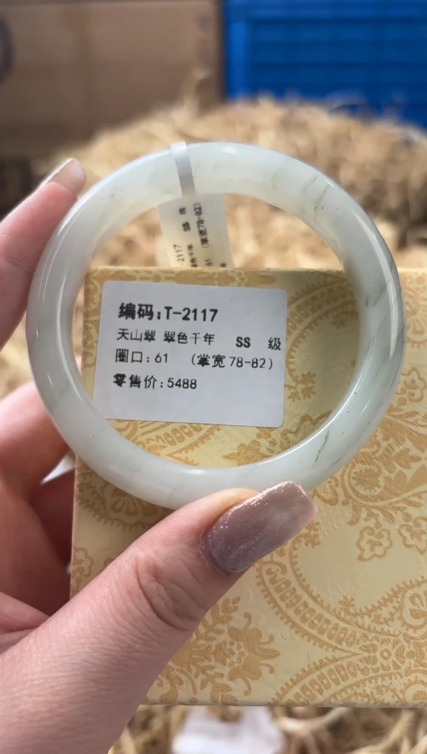 未镶嵌手镯石英质玉T-2117