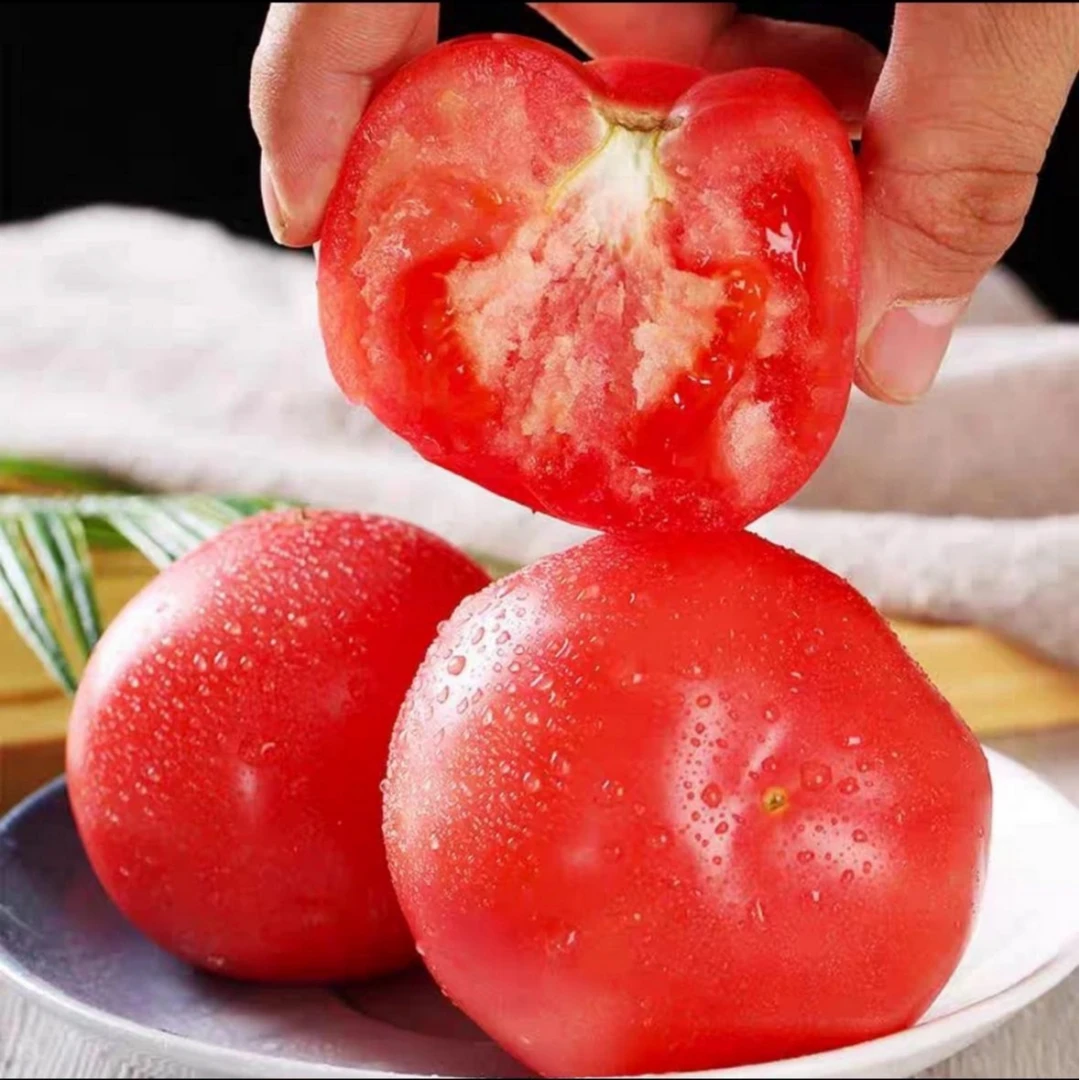 【全疆包邮】商超精品西红柿炖汤炒菜顺丰 2.5kg