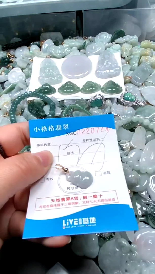 【闪购商品】翡翠颈饰未镶嵌闪购商品0220744