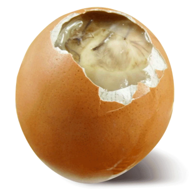 秦邮牌活珠子10枚