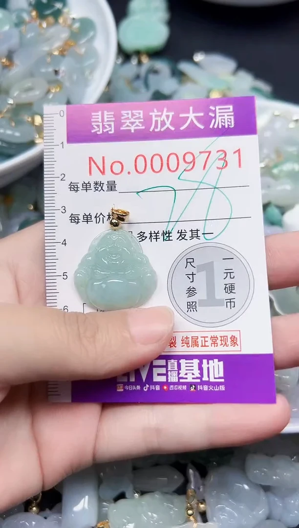 颈饰未镶嵌翡翠9731