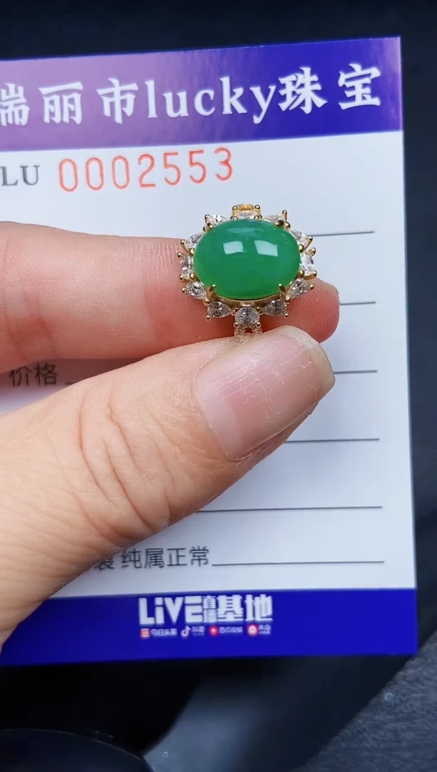 翡翠银S925镶嵌颈饰2553