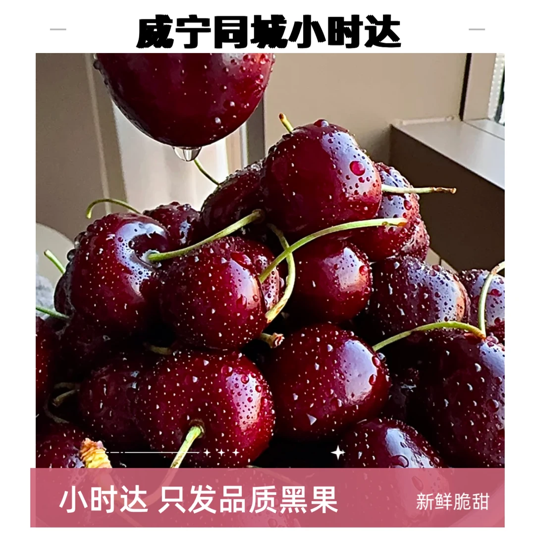 （威宁同城小时达） 智利进口3JD新鲜脆甜车厘子 5斤装