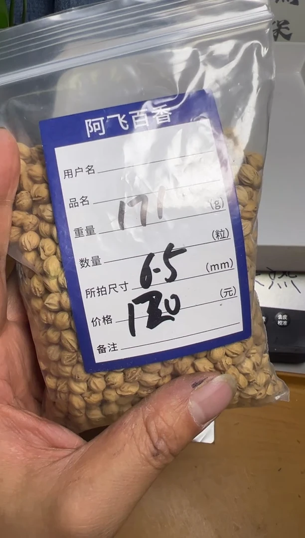 【闪购商品】柏香籽/百香籽吊坠120