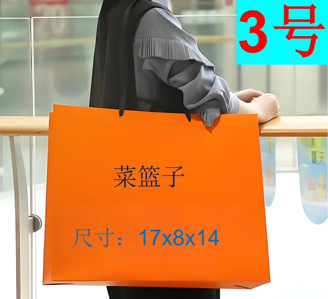 3号时尚潮流斜跨手提包小菜篮CW032#