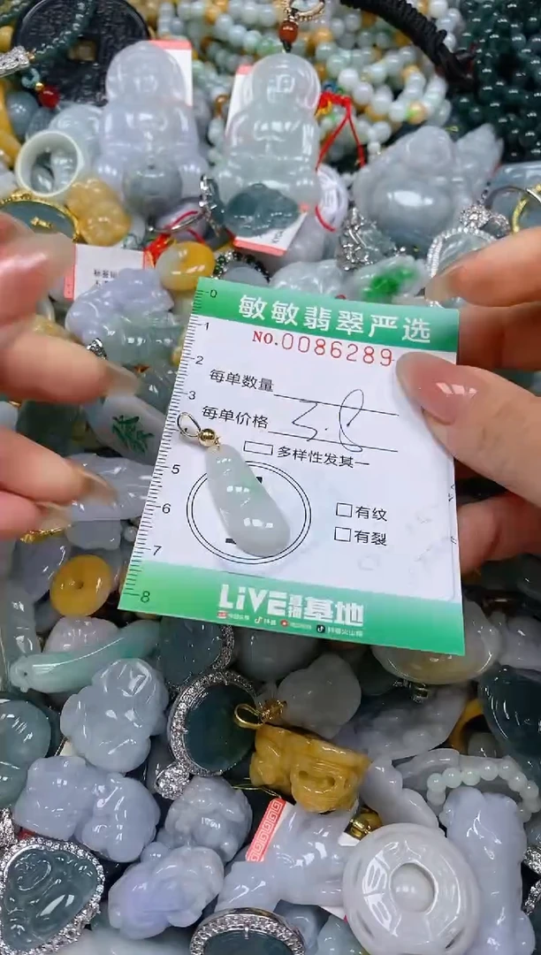 【闪购商品】翡翠颈饰未镶嵌闪购0086289