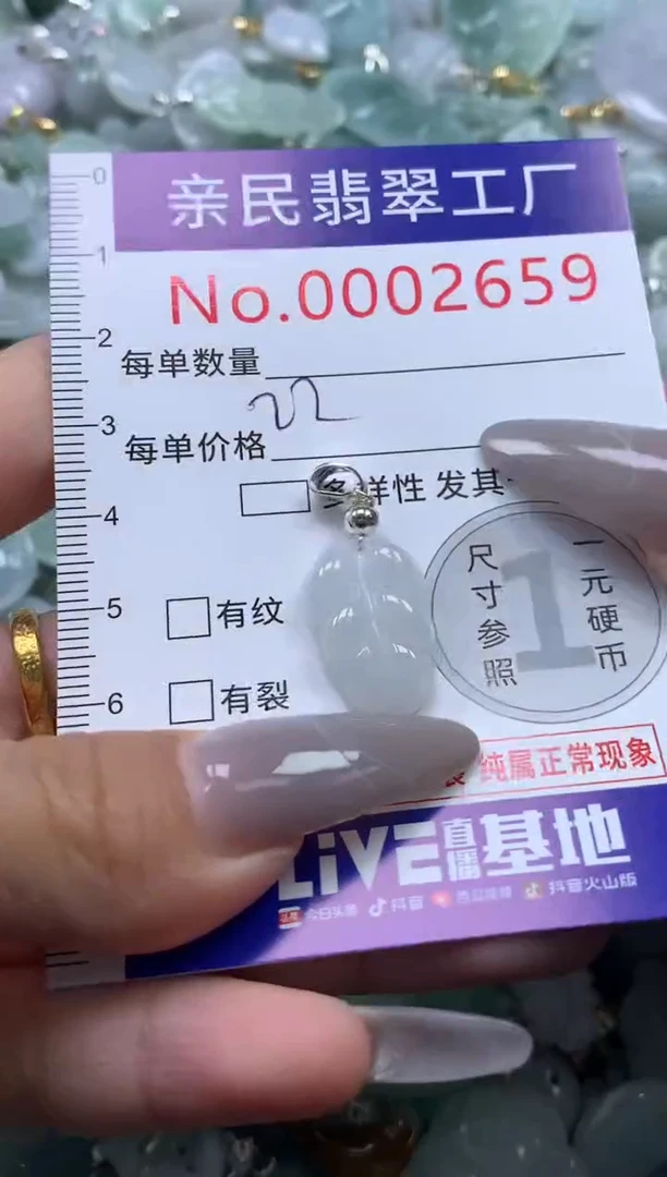 颈饰未镶嵌翡翠2659