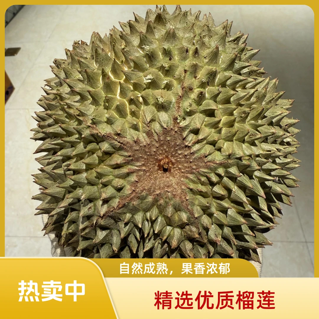 【贵阳同城】马来西亚 液氮冷冻榴莲 黑刺D200 (果核大,下单默认开果,一果一拍)1000g-1500g黑刺马来西亚