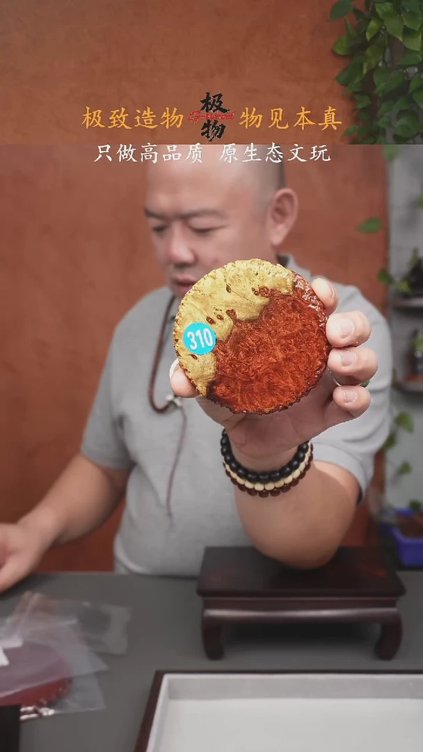 缅甸花梨（花梨木类）瘤疤杯垫